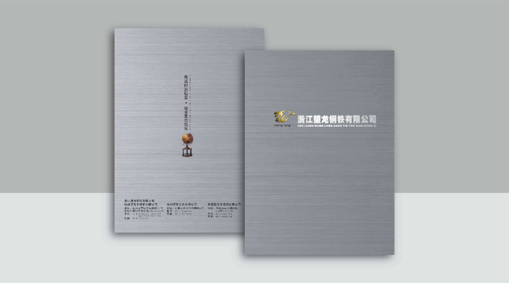 浙江望龙钢铁有限公司